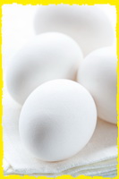 כמה עולה ביצת מאכל במקומות שונים בעולם ?