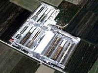 איטליה: נגיף שפעת העופות H7N7 סיכום ביניים