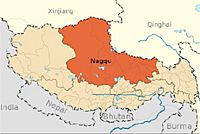 טיבט: שפעת עופות בעופות-בר