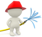 הלהקה נפגעה מנגיף שפעת עופות - במה לחטא ?