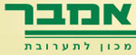 אמבר