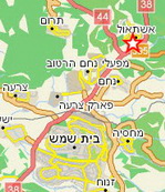 ניוקסל במטילות ביצי מאכל בפרוזדור ירושלים