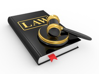 פסקי דין בנושא פרגיות - מטילות לביצי מאכל