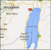 דלקת מח נגיפית של תרנגולי הודו בבקעה