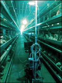 מערכת לספירת מטילות