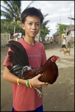 צוריאל: אירועי הניוקסל נמשכים