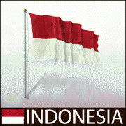 אינדונזיה: מקרה נוסף של שפעת העופות באדם