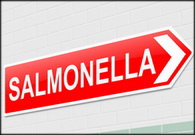 קנדה: התפרצות ס. אנטריטידיס כתוצאה מצריכת מוצרי עוף קפואים