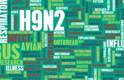 סין: אירוע נוסף של H9N2, הפעם בילד