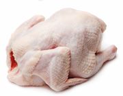 מחסור בבשר עוף טרי צפוי בסוכות