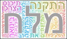 ארה"ב: תקנה חדשה תחייב רישום כלל התוספים בתווית בשר העוף