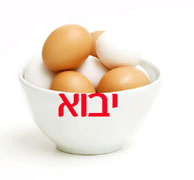ניוקסל בלהקת רביה קלה