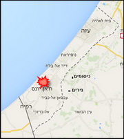 שפעת עופות בחאן יונס