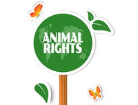 עמותות למען בעלי חיים בעד ההסדר בענף הפטם