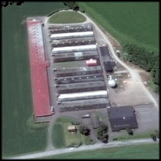 שבדיה: שפעת עופות במשק מסחרי ובעופות בר