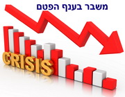 חוזרים להסדר בענף הפטם?