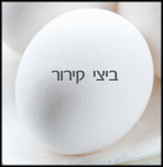 עודפי ביצים