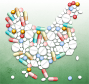 אנטיביוטיקה וחברות המזון המהיר