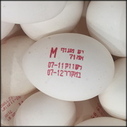 "יש מעוף" חוזרת לפעול כשגרה