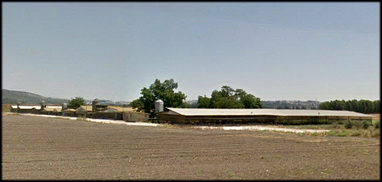 שפעת עופות בלהקת תרנגולי הודו בנהלל