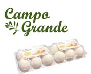 יבוא ביצי מאכל לקראת פסח