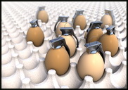 הודעת דובר משרד הבריאות בנושא סלמונלה בביצי מאכל