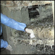 ניטור סלמונלה במשקי מטילות – לשלשת או אבק?