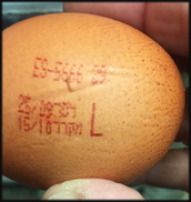 יבוא ביצי מאכל מספרד ופורטוגל