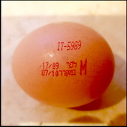 איטליה: איחזור ביצי מאכל