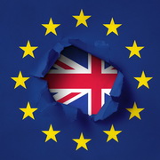 איך קשור הברקזיט בבריטניה לעופות?