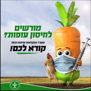 יוזמה לחיסון עופות החצר
