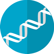 מחקר: זני הקמפילובקטר מחליפים ביניהם חומר גנטי