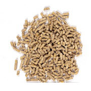 רוסיה מהדקת הפיקוח על תכשירים אנטי-מיקרוביאלים בתערובות בע"ח