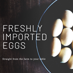 יבוא ביצים? מה באמת המצב