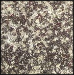 האקרית האדומה: דיווח מקרה (גרמניה) עם תכנית לפתרון