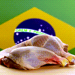 האם ישראל תייבא בשר עוף מברזיל?