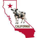 קליפורניה מדווחת על שני מקרי שפעת עופות באדם