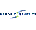 חברת Hendrix-Genetics תשלב מיון למין האפרוח כבר בביצה