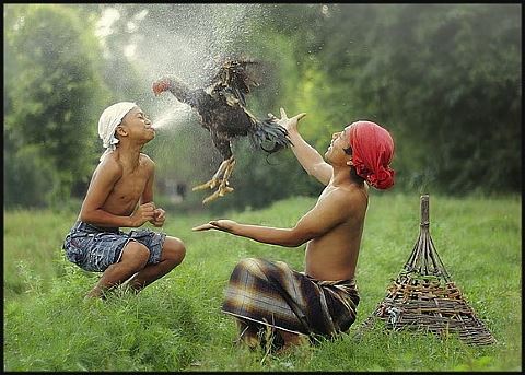 מקבצים משפחתיים