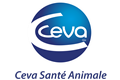 Ceva