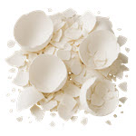 הולנד: עלייה במקרי סלמונלה בבני אדם והקשר לביצי מאכל