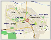 נגיף שפעת העופות אובחן שוב בישראל