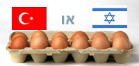 אושר יבוא ביצי מאכל לישראל