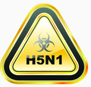 נדחה אישורו של תרכיב H5N1 לבני אדם