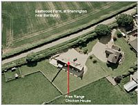 אנגליה: נגיף שפעת העופות H7N7 אובחן במשק עופות