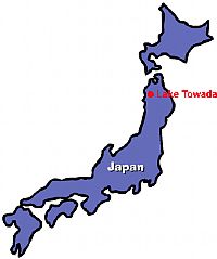 יפן: נגיף שפעת העופות אובחן בארבעה ברבורים