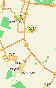 ניוקסל בלהקת פטמים בעין הבשור