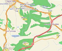 אבחון ניוקסל בישוב טפחות