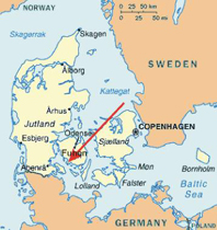 דנמרק: אבחון ראשון של שפעת העופות בבעלי כנף מבוייתים