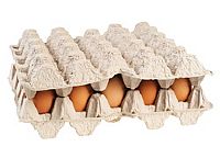 כתב אישום נגד חברי רשת להברחת ביצי מאכל מהרשות לישראל